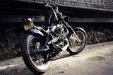Stainless Fender Struts